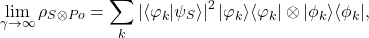 \begin{equation*} \lim_{\gamma\rightarrow\infty} \rho_{S\otimes Po} = \sum_{k} \left|\langle\varphi_k|\psi_{S}\rangle\right|^2 |\varphi_k\rangle\langle\varphi_k| \otimes |\phi_k\rangle\langle\phi_k|, \end{equation*}