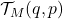 \mathcal{T}_M(q,p)