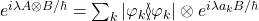 e^{i \lambda A\otimes B/\hbar} = \sum_{k} |\varphi_k\rangle\!\!\!\langle\varphi_k| \otimes e^{i \lambda a_k B/\hbar}