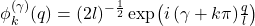 \phi_k^{(\gamma)}(q)=(2l)^{-\frac{1}{2}} \exp\!\left(i\,(\gamma+k \pi) \frac{q}{l}\right)